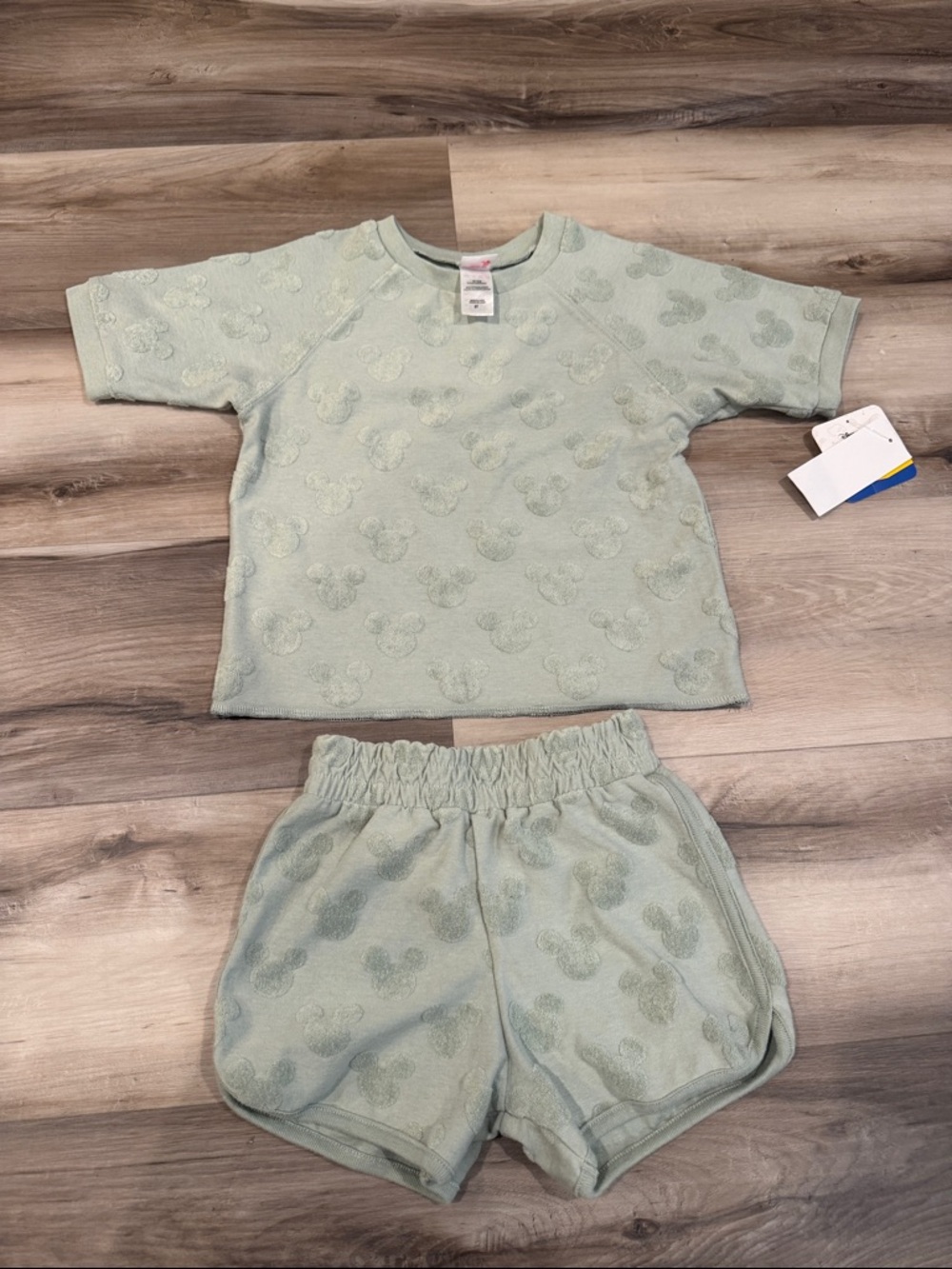 Disney Light Green Terry Short Set with Mickey Pattern